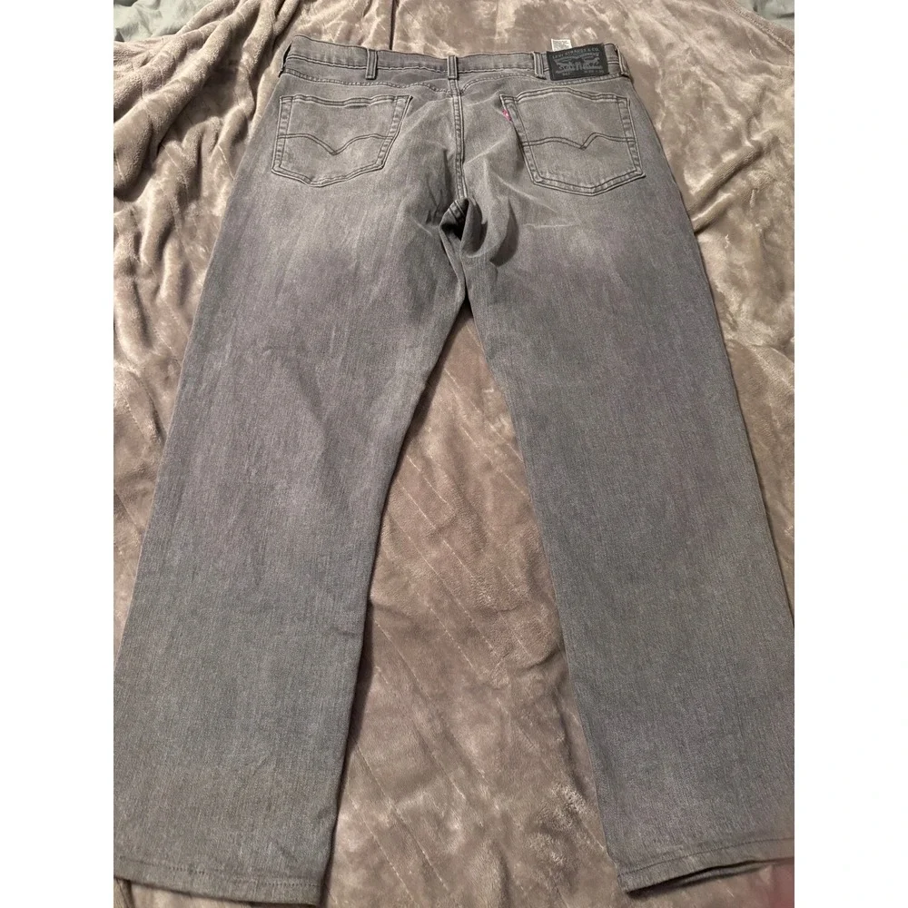 Levis levis 541